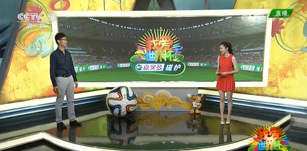 卡塔尔世界杯讲解员是谁,卡塔尔世界杯讲解员
