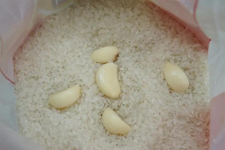 大米防生虫的最佳方法,大米防止生虫的七个方法