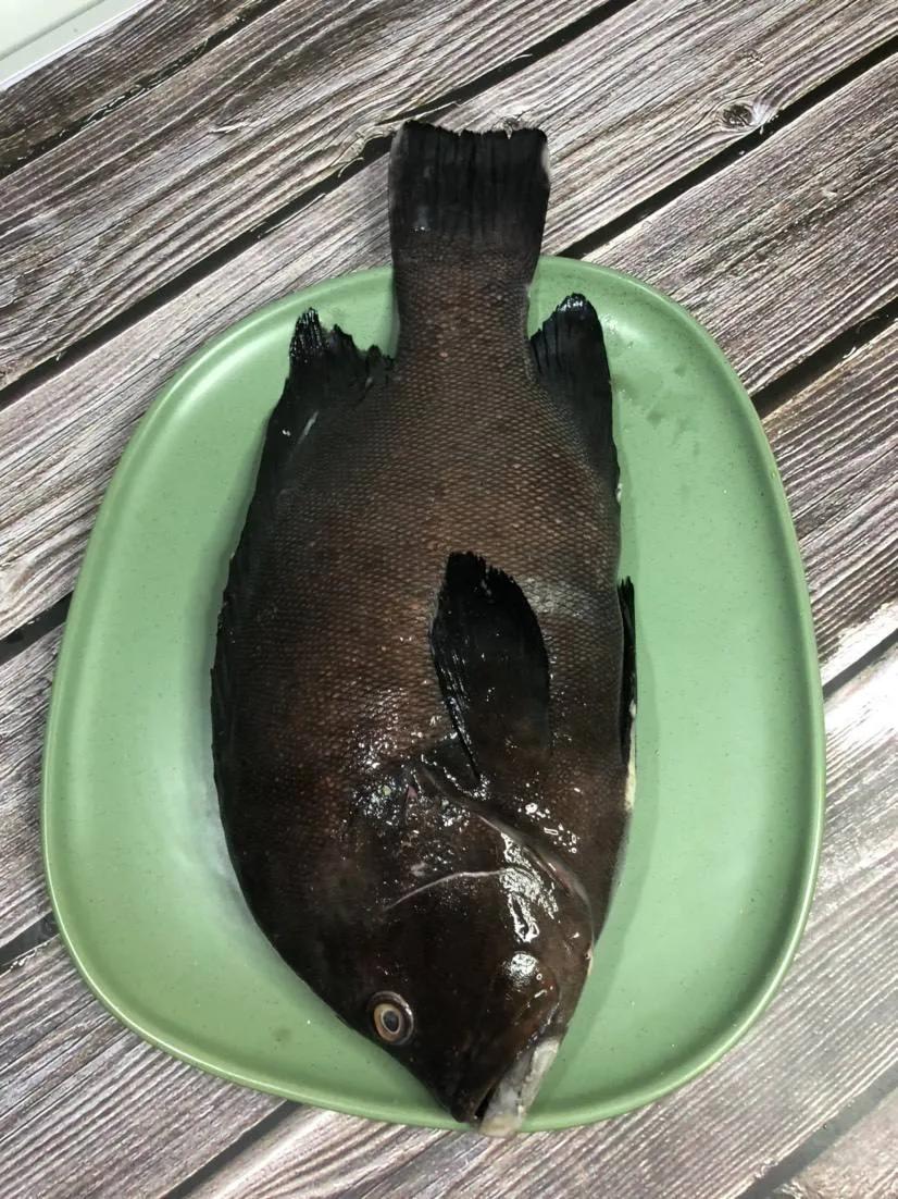 鱼类菜肴大全,鱼类食材大全