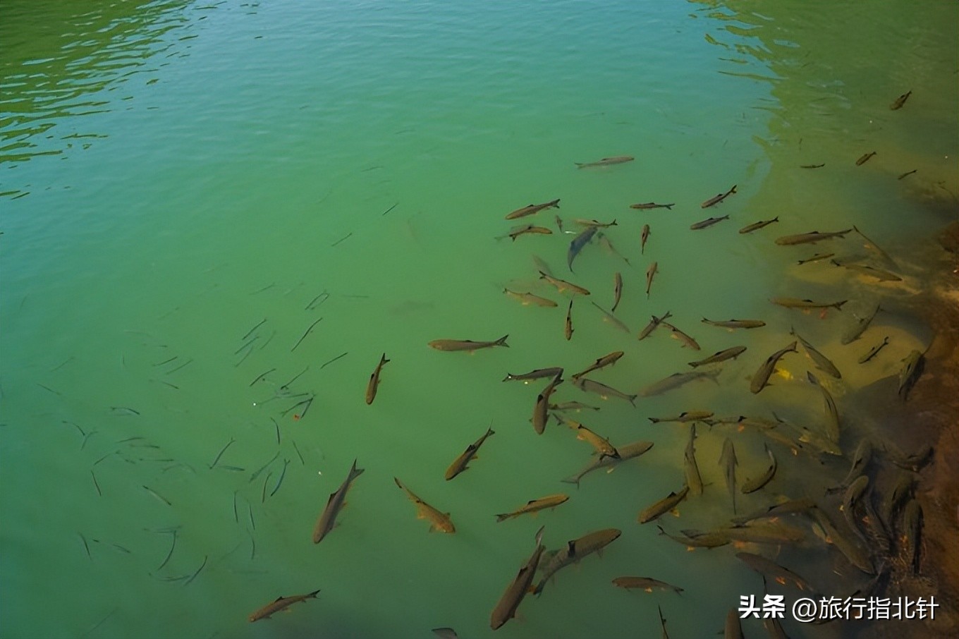 一分钟了解武夷山旅游景点攻略,福建自由行武夷山旅游攻略