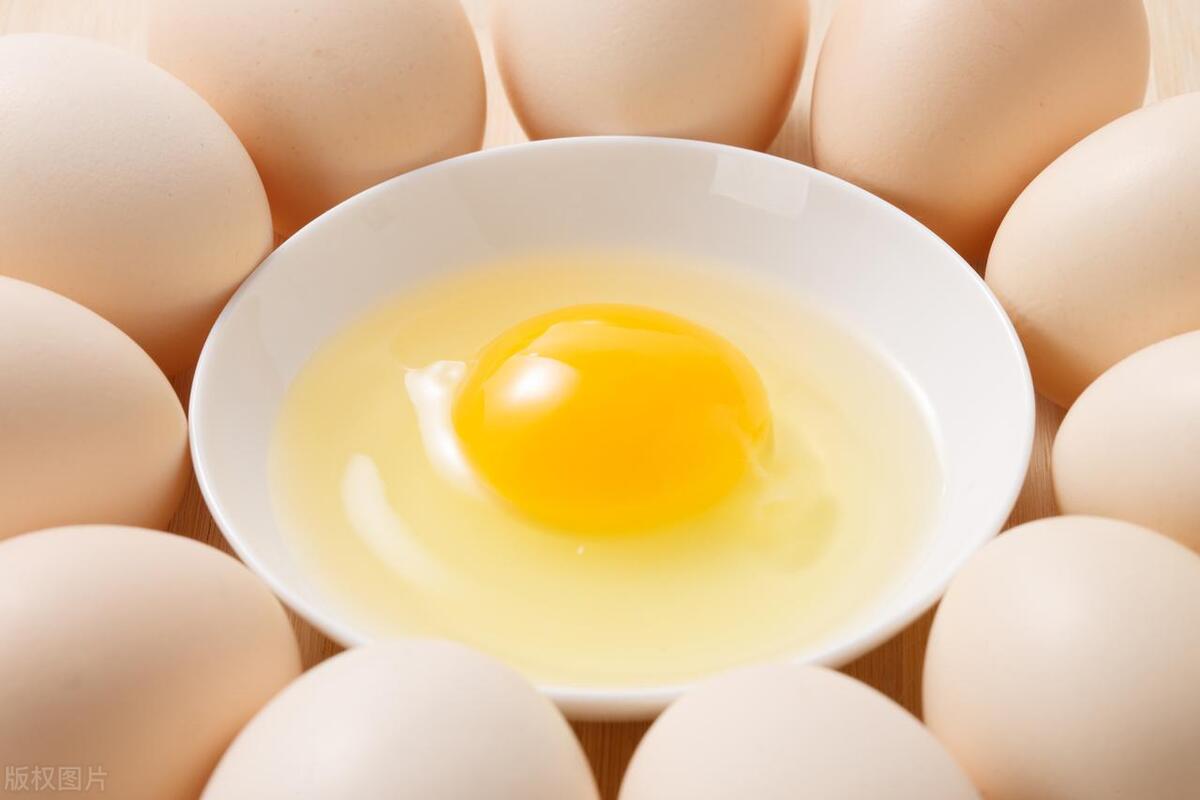 目前市场上最好的鸡蛋是哪个,鸡蛋买哪些比较放心吃