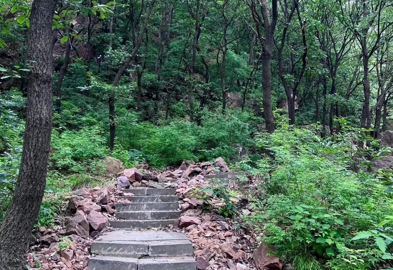 端午节郑州周边避暑游玩推荐景点,端午郑州附近游玩景点推荐一日游