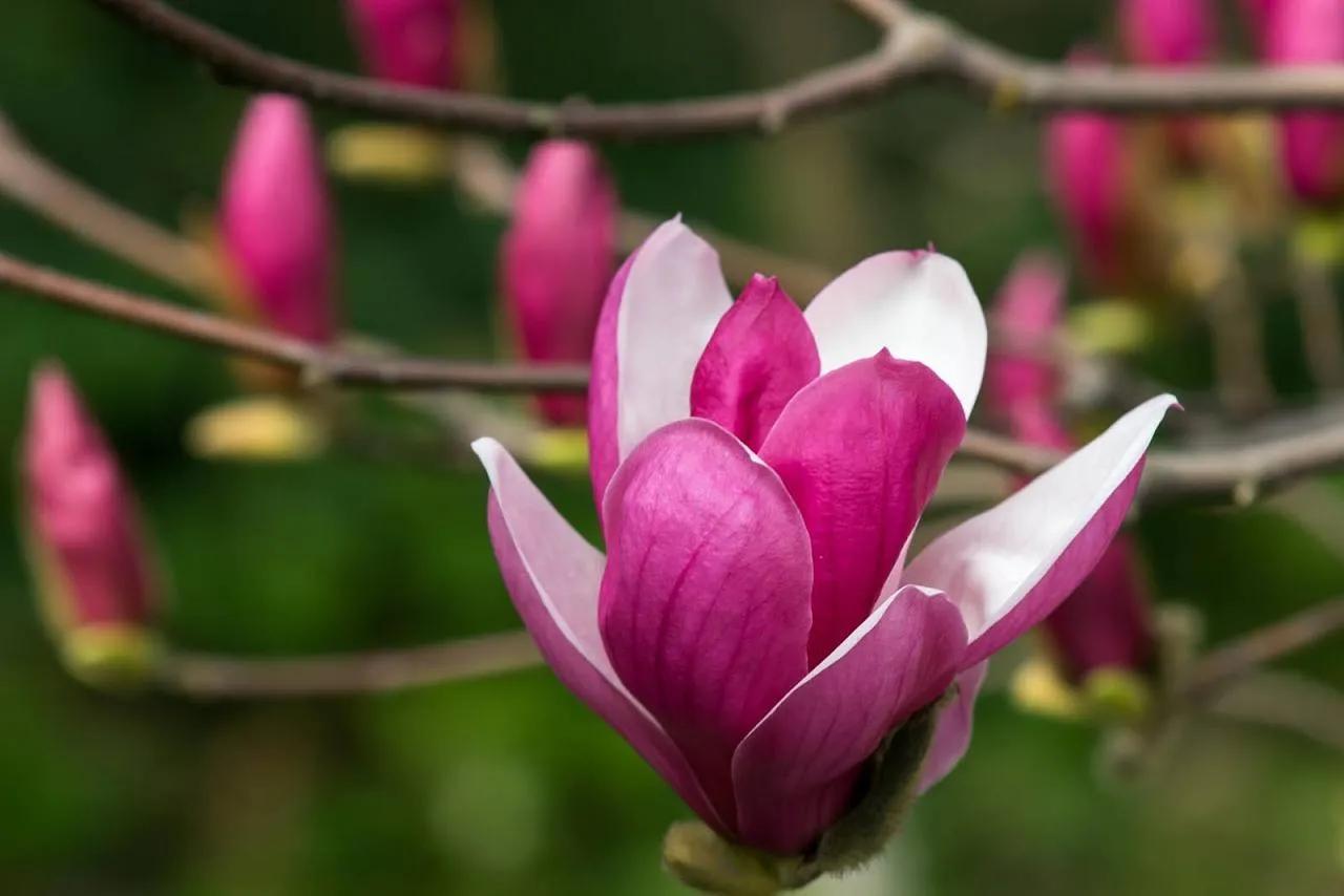 七年之痒短篇结局,七年之痒短片