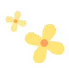 北京周边探秘京城最美油菜花海,北京油菜花必去的地方