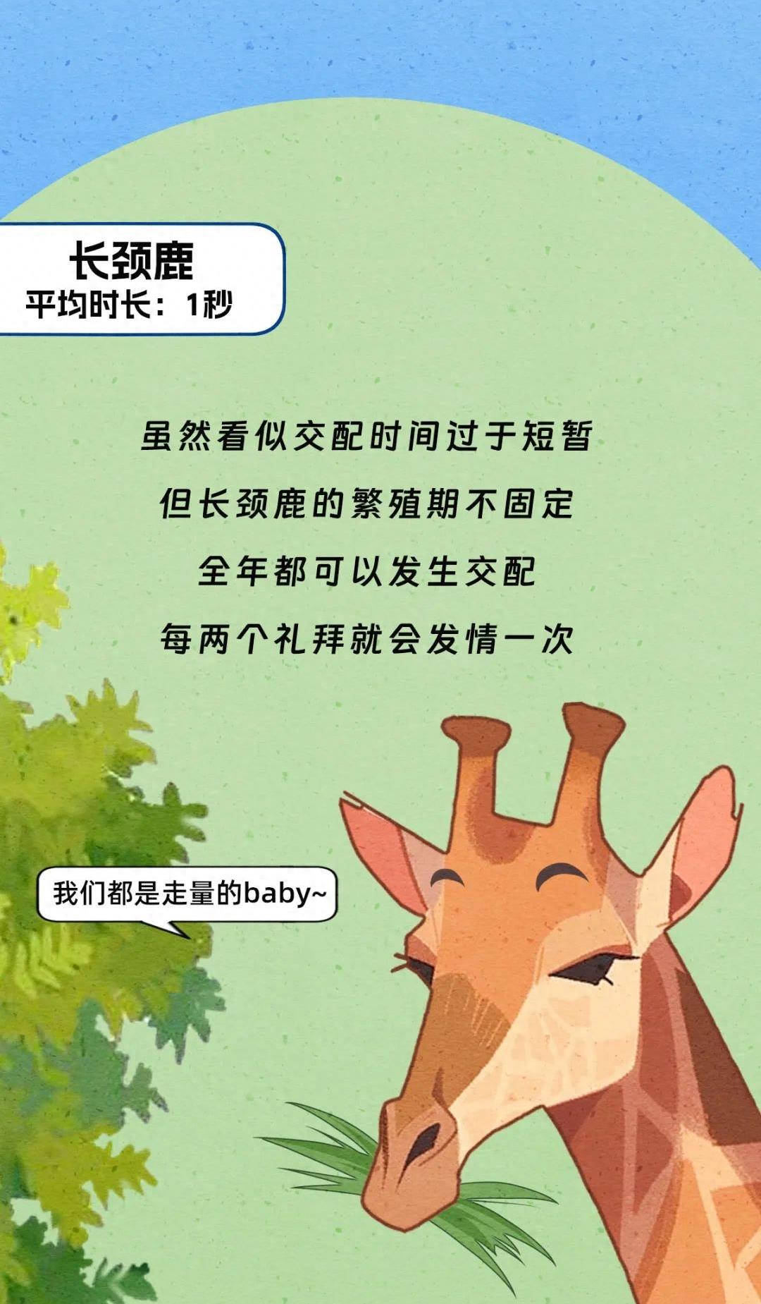 动物交配行为鉴赏，真的触碰到了我的知识盲区（漫画）