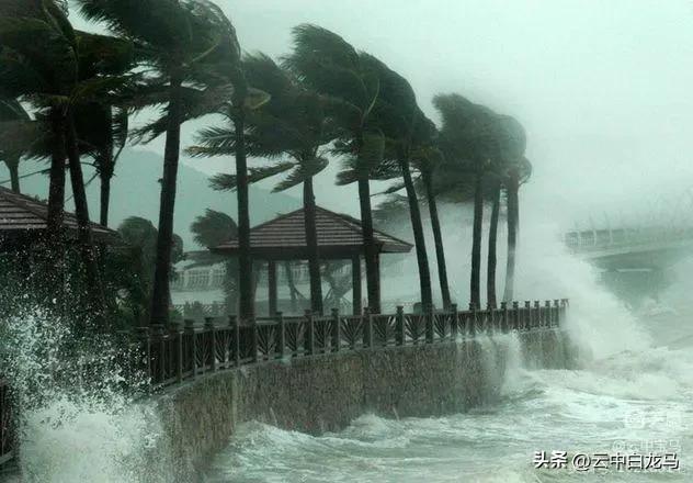 王琴（四川达州）《一七令.风花雪月（组词）》