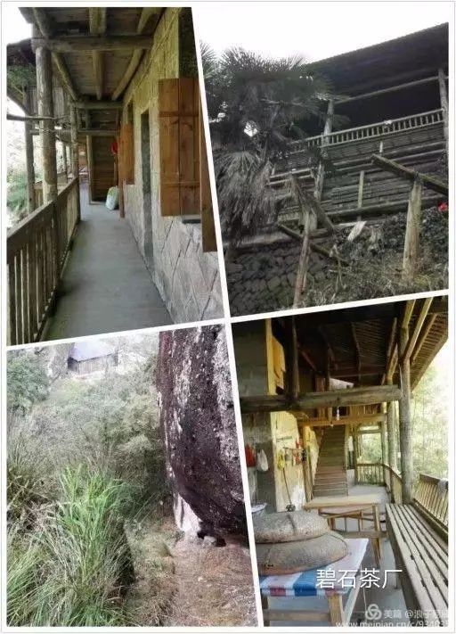 武夷山自然遗产有哪些,武夷山有哪些古迹