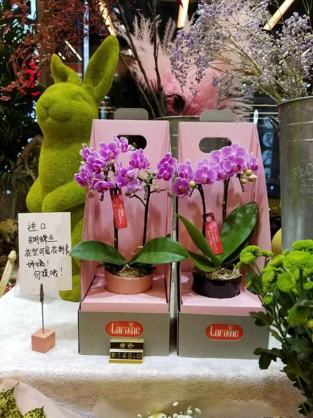 新奇特创意花束,新奇特花艺