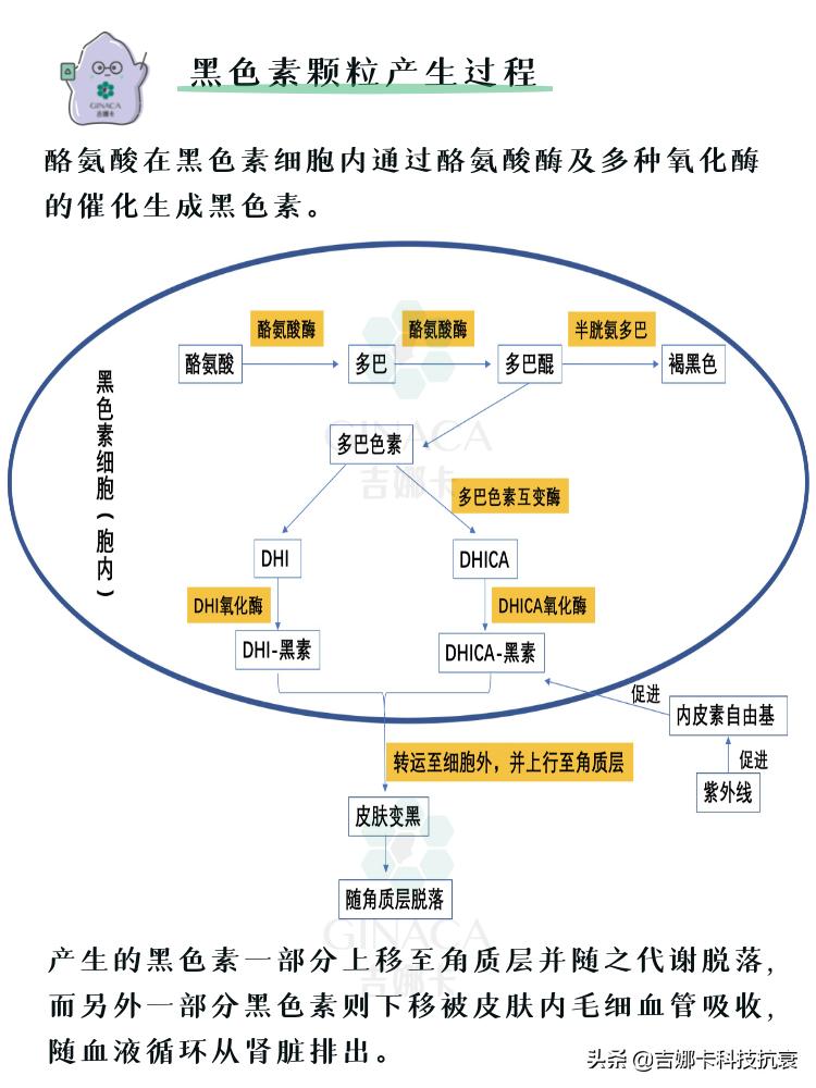 怎么美白皮肤最有效方法是什么,怎么美白皮肤的小妙招