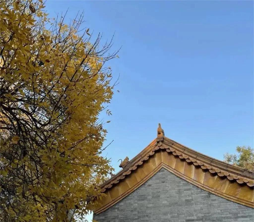 胡同逛游指南，在北京这4条胡同里邂逅别样秋色