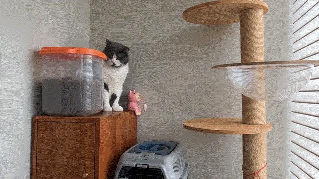 两居室小户型法式复古,小户型房子复古风