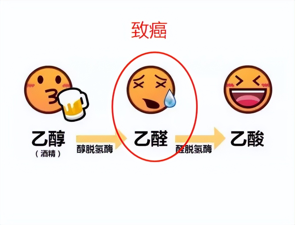 酒精是一级致癌物为什么有人还喝,酒精是一类致癌物还是尽量别喝