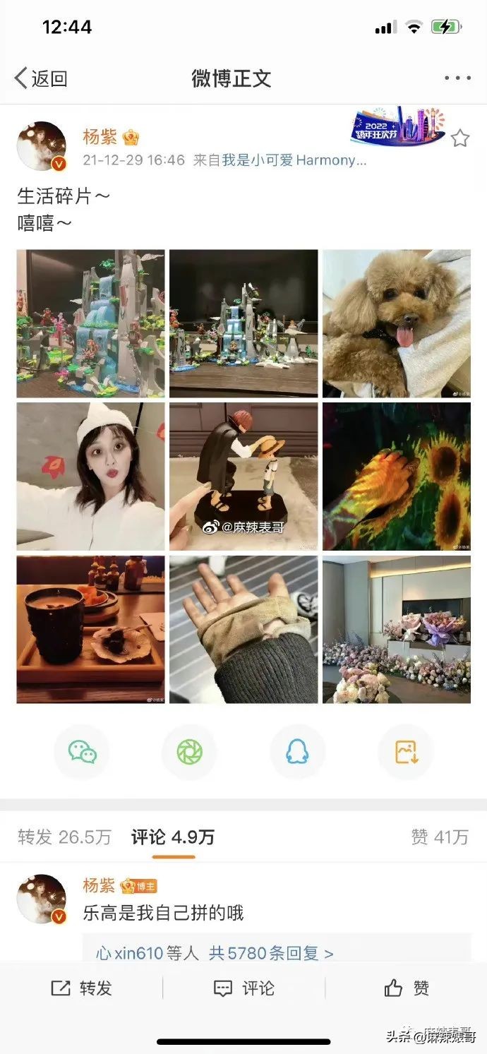 热带鱼cp是哪个,热带鱼cp是真的吗