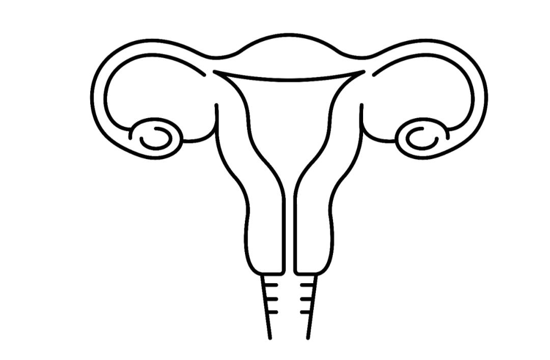 两性健康知识内容包括什么,两性健康的知识误区