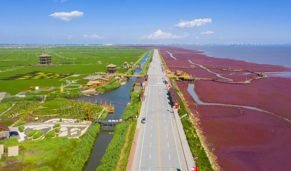 旅游图片合集多张海边,七月的红海滩景色怎么样