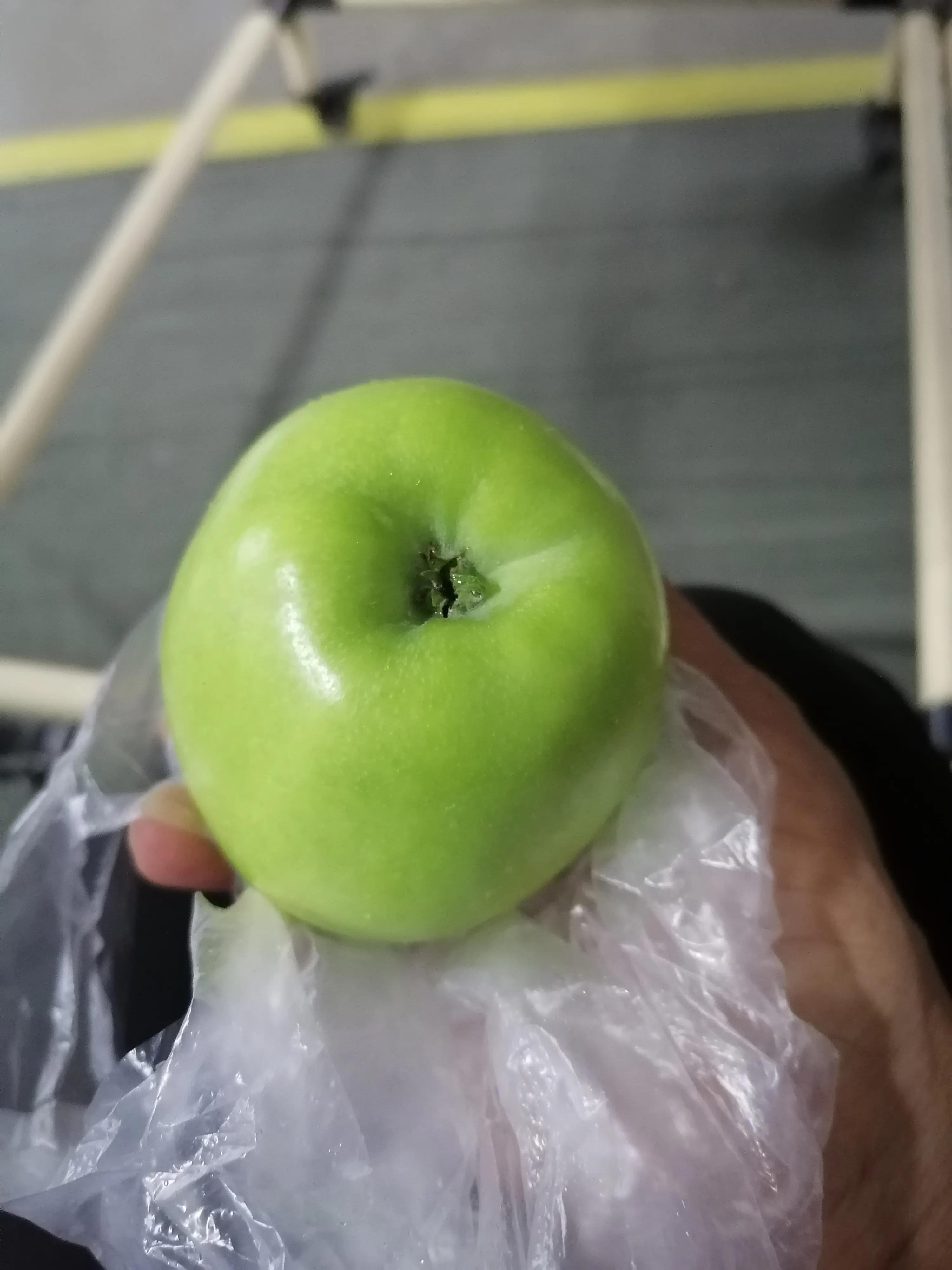 青苹果免费在线看电影,青苹果高清免费观看完整