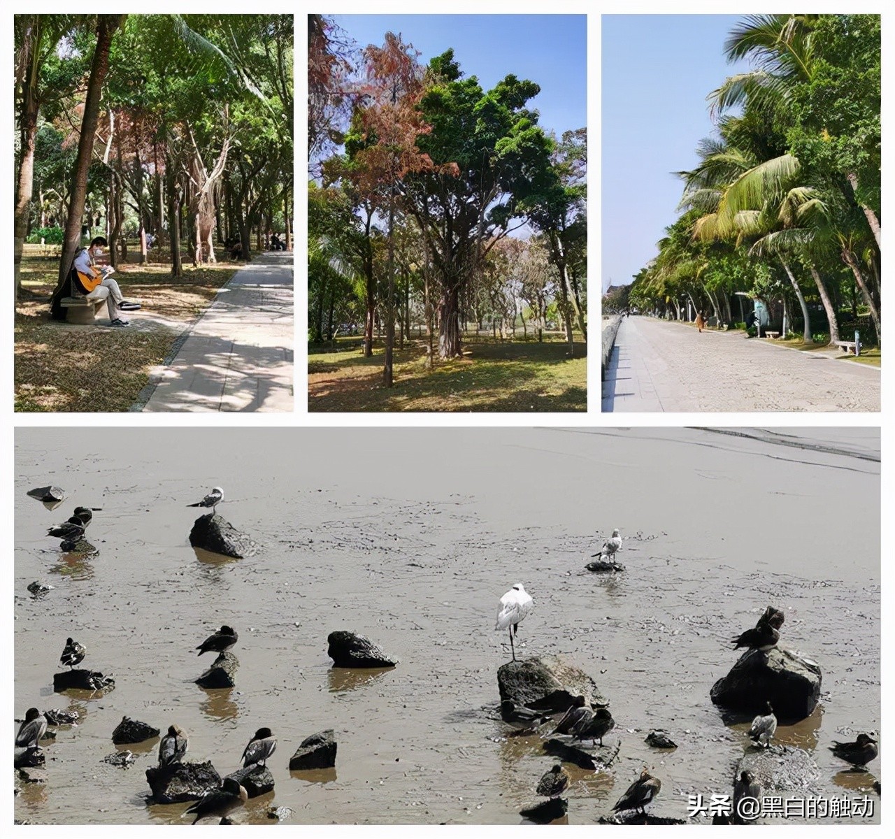 深圳美好创意,深圳创意项目推荐