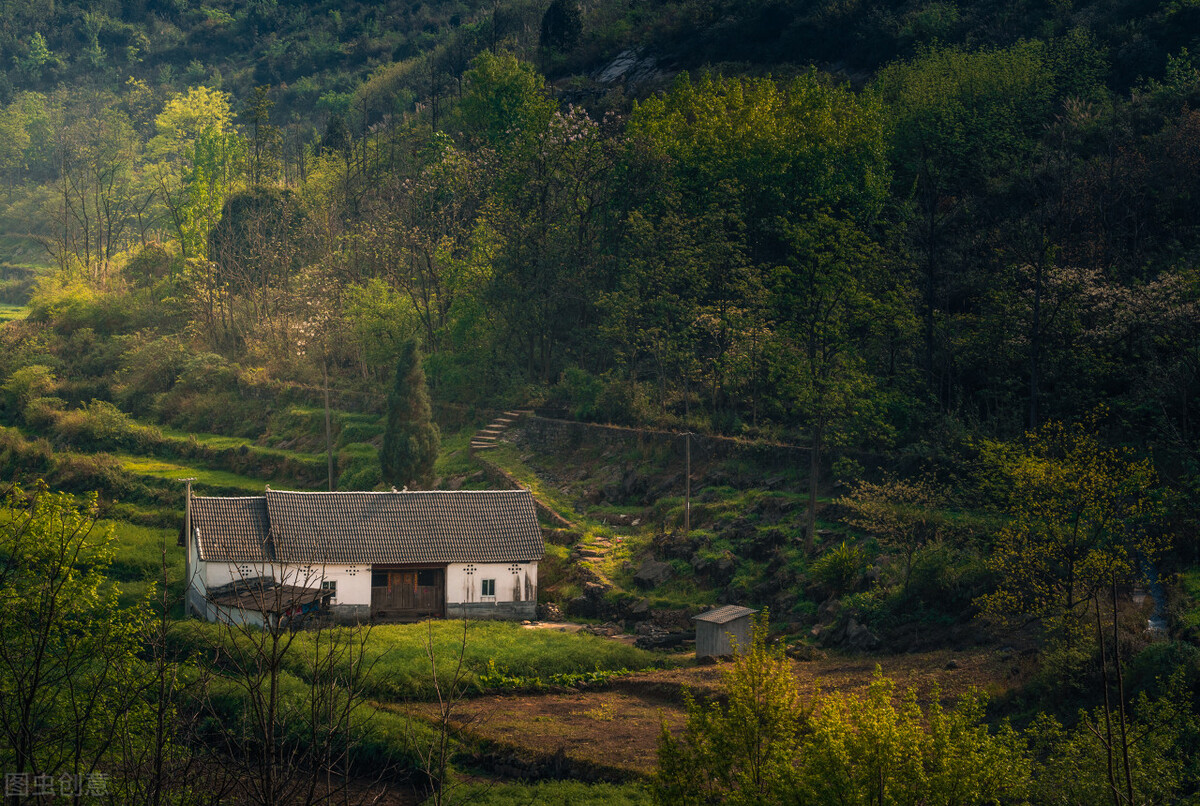 让人匪夷所思的婚外情事,那些令人匪夷所思的婚外情事39