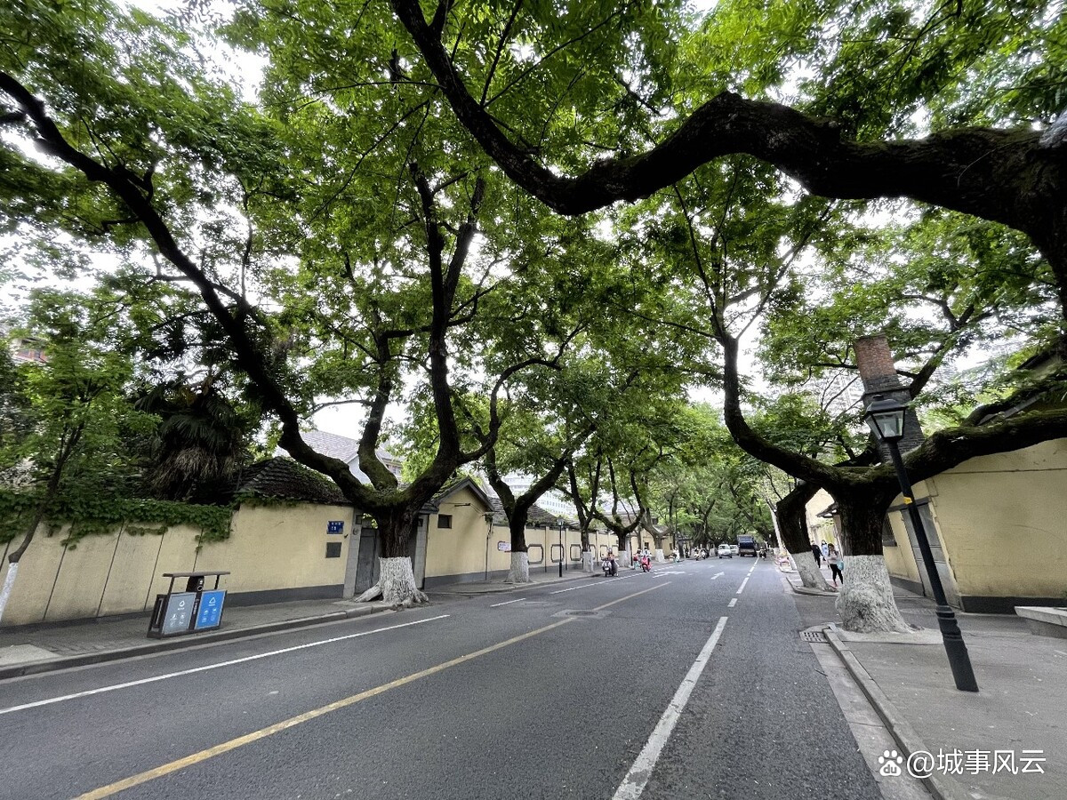 差点在南京消失,中医如今为何仍然存在?南京两个中医药学一流