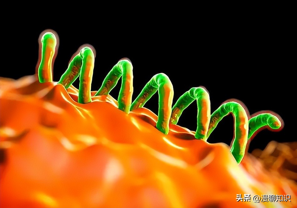 慢性复发性骨髓炎儿童案例,青少年得慢性骨髓炎能治好吗