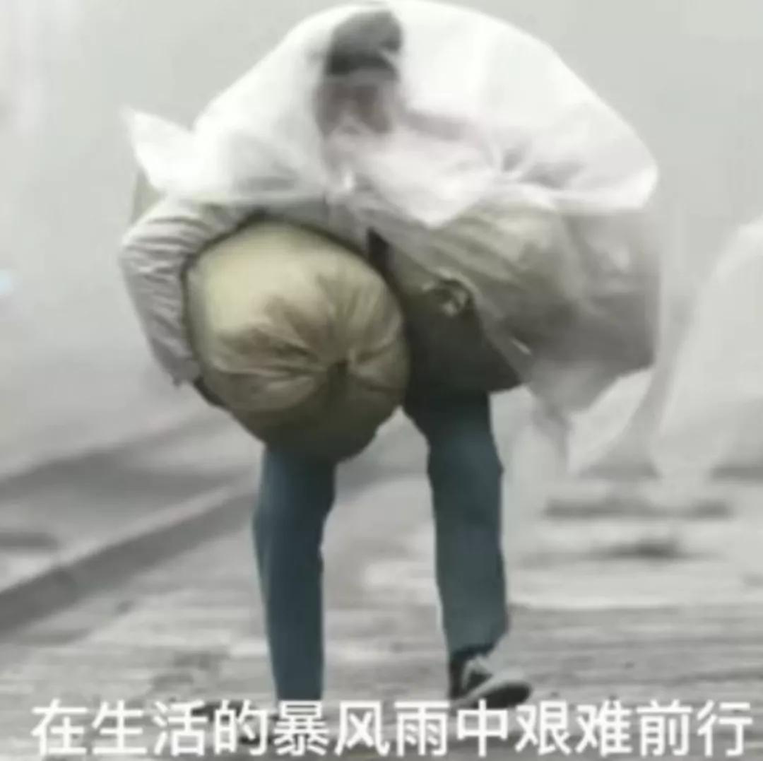 余额宝的收益能升级吗,余额宝收益的利息会变化吗