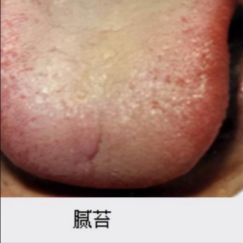 经方六经辨证理论体系与临床应用,中医辨证体系