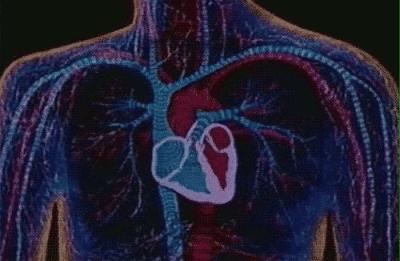 大海有多可怕视频,大海最危险的是什么