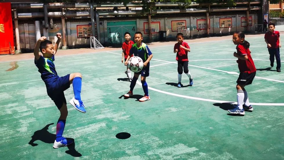 五育并举逐梦巅峰再创辉煌,五育并举缤纷绽放