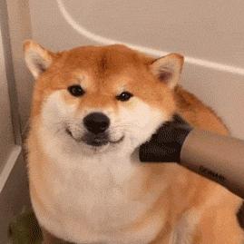 发型师教你如何在家打理头发,搞头发教程