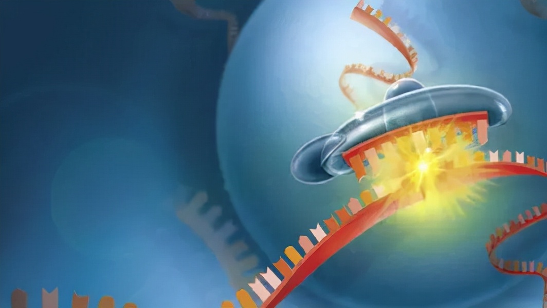 乙肝在研新药大集合,乙肝在研新药brii-835上市