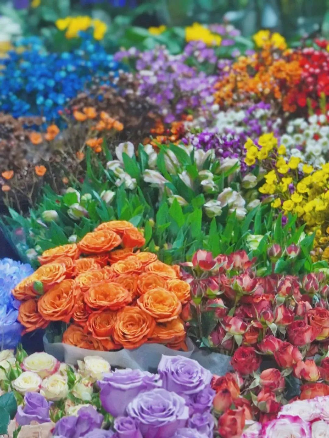 济南春天看花好去处,来济南买金子