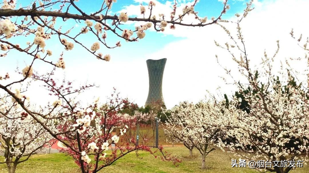 吃遍烟台玩遍美景,带你玩遍烟台
