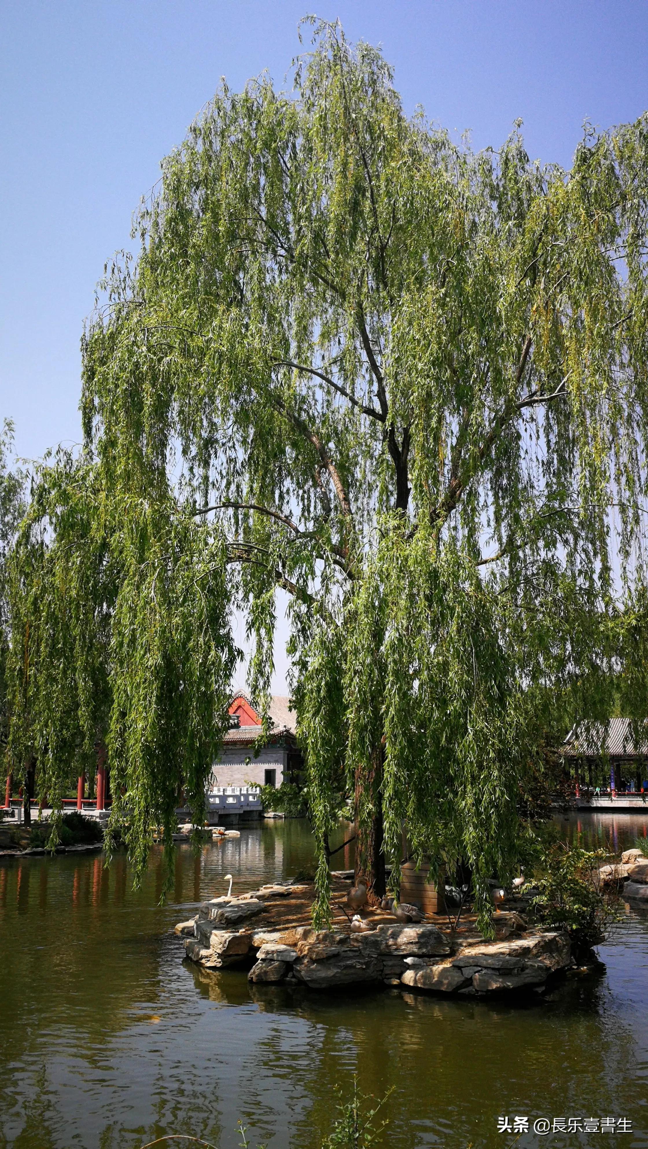 中国园林博物馆游览时间表,小众游玩强烈推荐北京园林博物馆