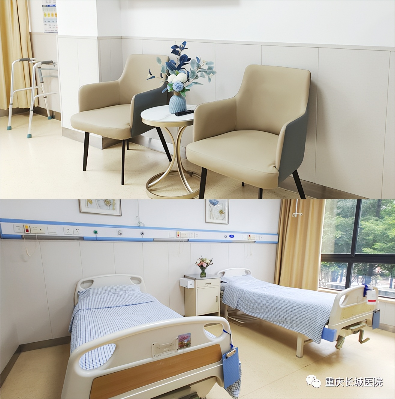 閲嶅簡闀垮煄鍖婚櫌楠ㄧ涓撲笟,澶у尰绮捐瘹75鍛ㄥ勾涓婚