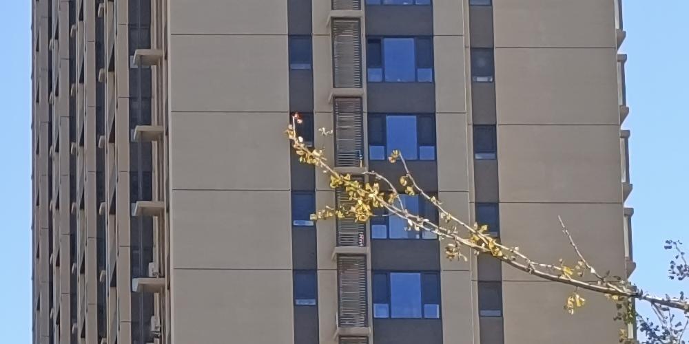 redminote11拍照效果,2亿级普通像素与5000万相机