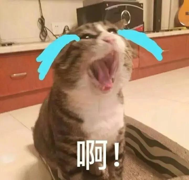 本来想炫耀结果却翻车,现实里那些装逼成功的时刻