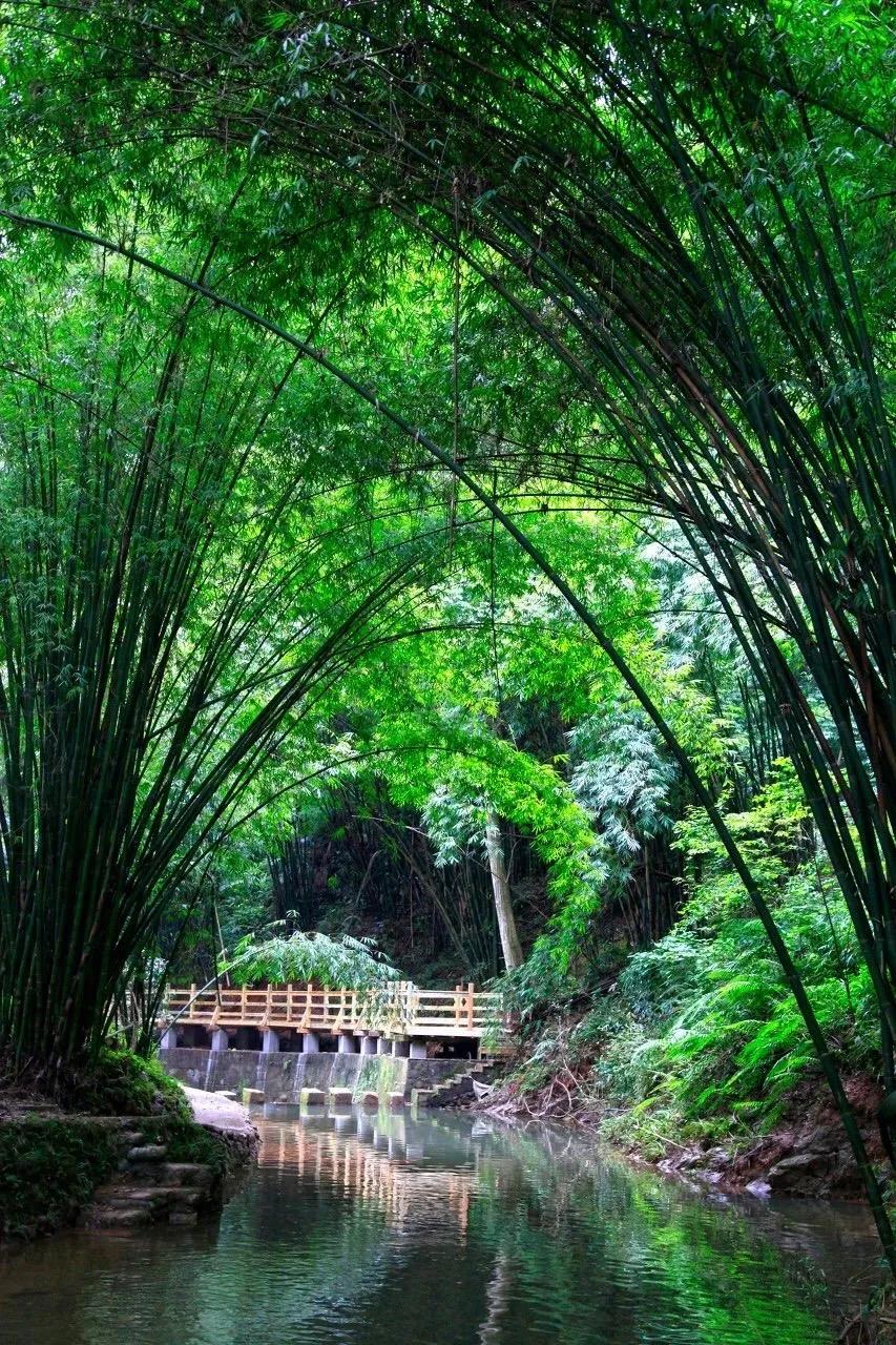 捣练子·*钟金**鸣