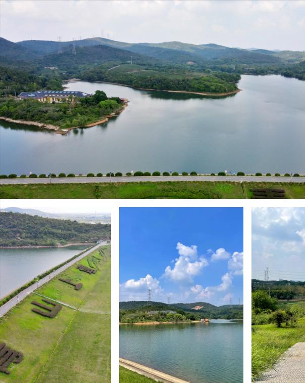 十一长假南京旅游景点攻略,南京适合搭帐篷野餐的地方