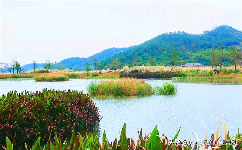 宁波东钱湖没人的地方,宁波东钱湖哪个景点风景最好