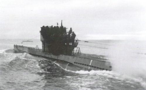 漂泊的鱼完整版,漂泊的鱼鹰