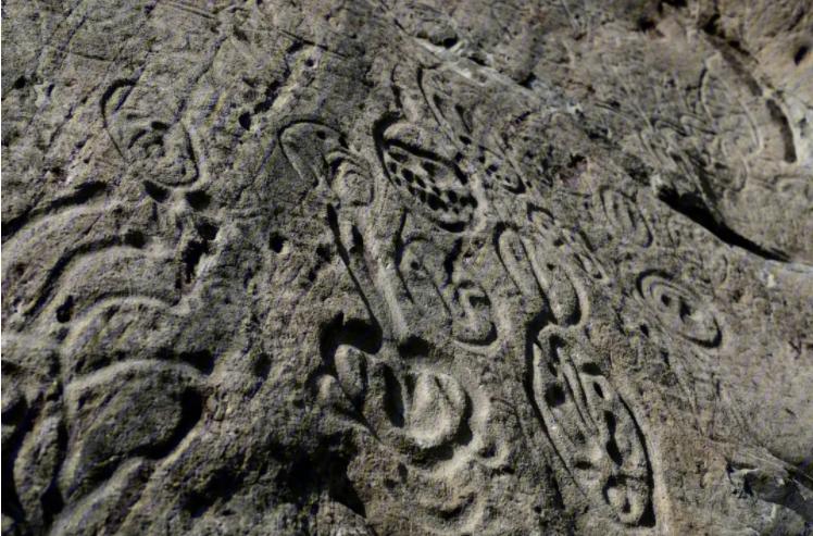 远古先民的欢歌乐舞，运用音乐图像学解读远古岩画的乐舞图象