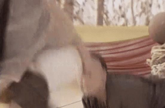 赵文卓提刀原视频,赵文卓提刀