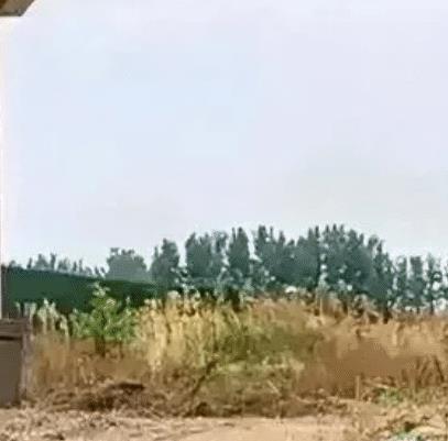 二姨太装修视频,许老板二太太是谁