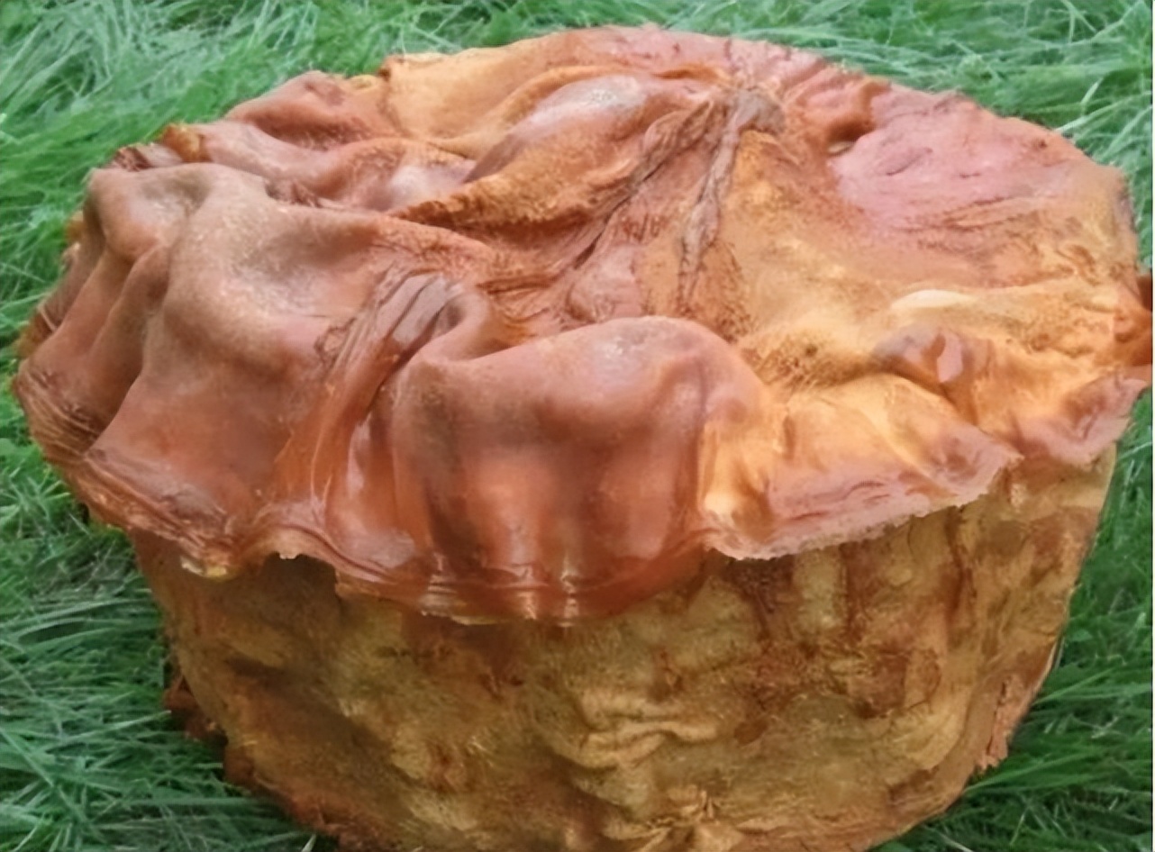 捡到200多斤的太岁能卖多少钱,大连男子捡到太岁