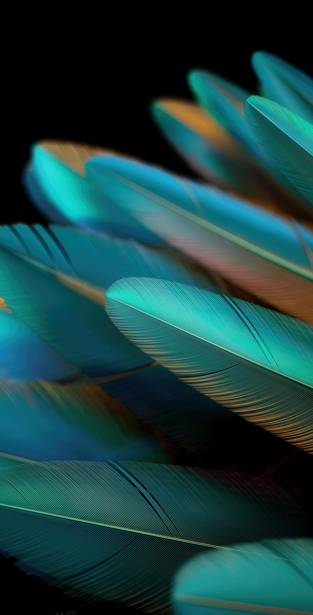 oppofindn2内置壁纸,OPPOFindN2Flip内置壁纸系列