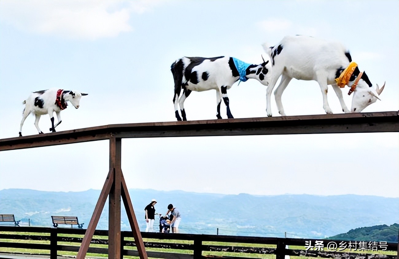 日本亲子农场主题乐园,日本最火亲子牧场