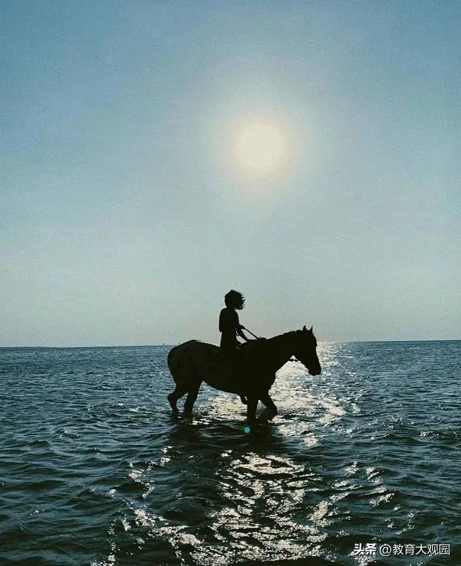 叔本华谈教育,叔本华对我最大的教育意义