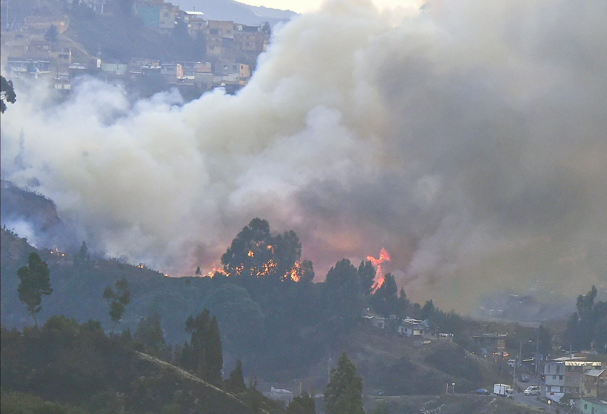 中国烟头是如何回收的,日本为什么收中国废旧烟头