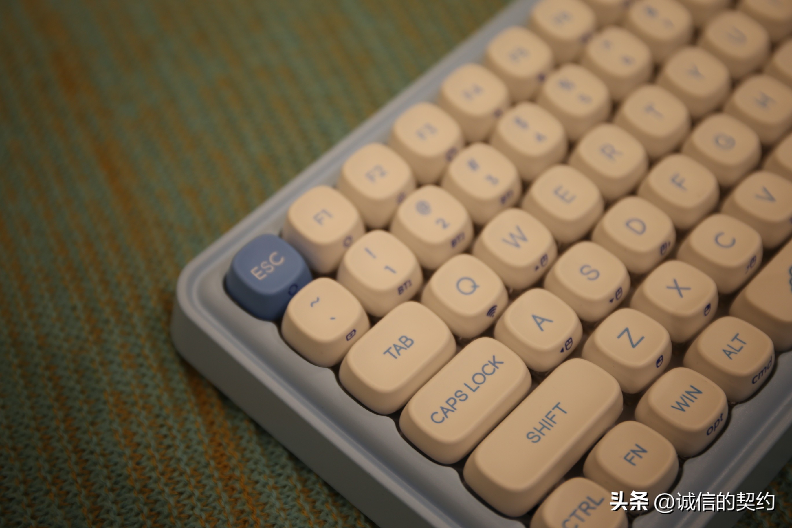 达尔优玉桂狗键盘灯光怎么调节,达尔优玉桂狗键盘能不能热插拔