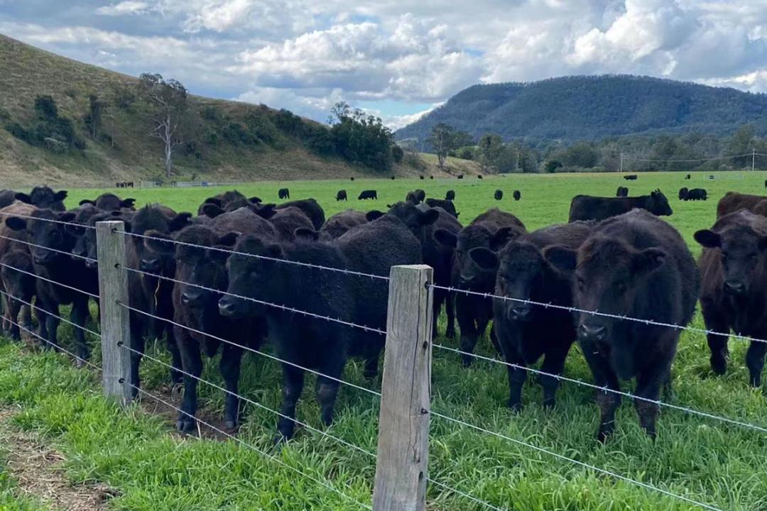 乡镇招商引资成效初显,掌握招商引资信息